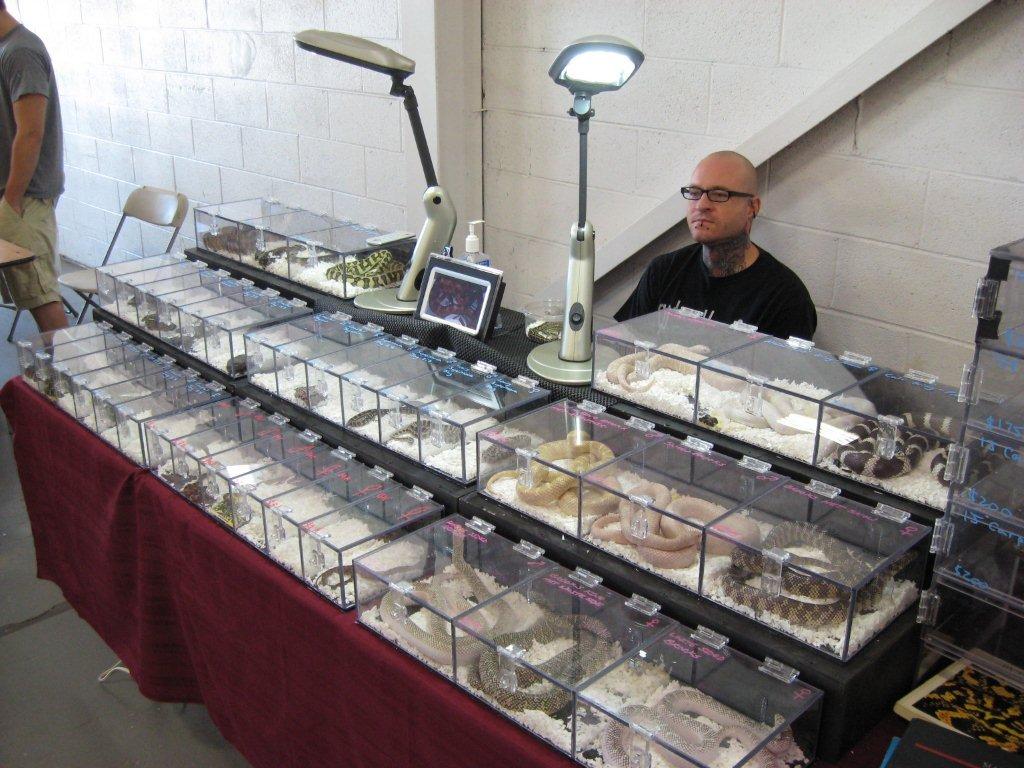 East Coast Reptile Super Expos Photos